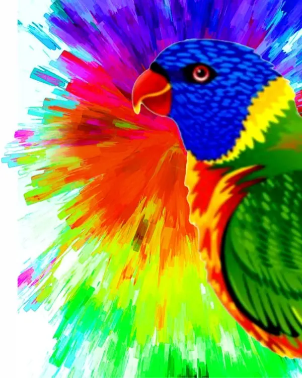 Lismore Signs & Graphics